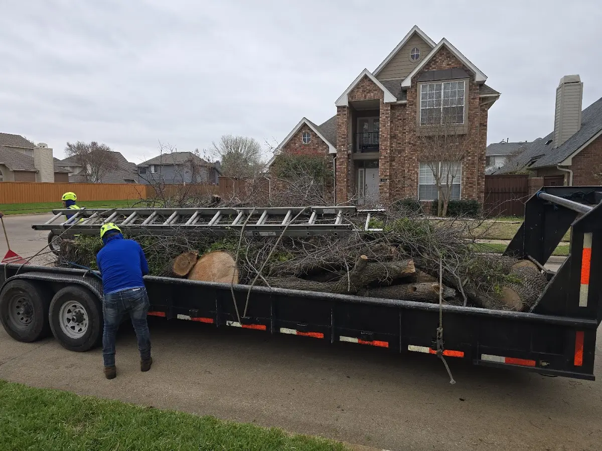 Expert Tree Fertilization with proper safety equipment in Pine Level